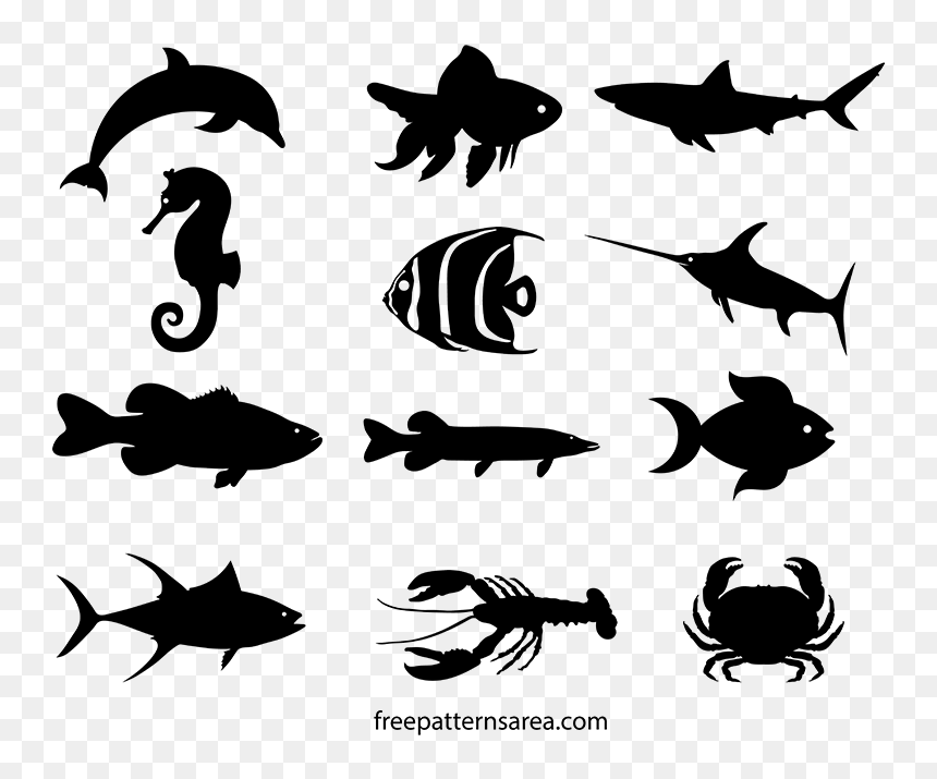 Different Shape Of Fish, HD Png Download - fish silhouette png