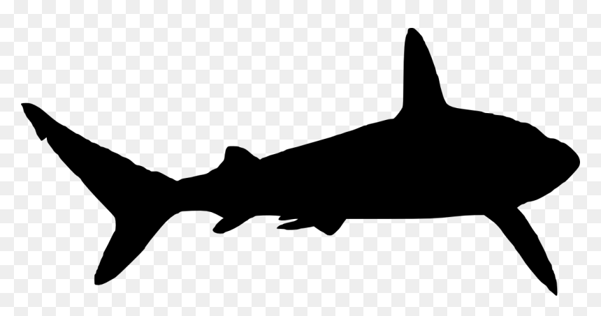 Shark Silhouette Png, Transparent Png - fish silhouette png