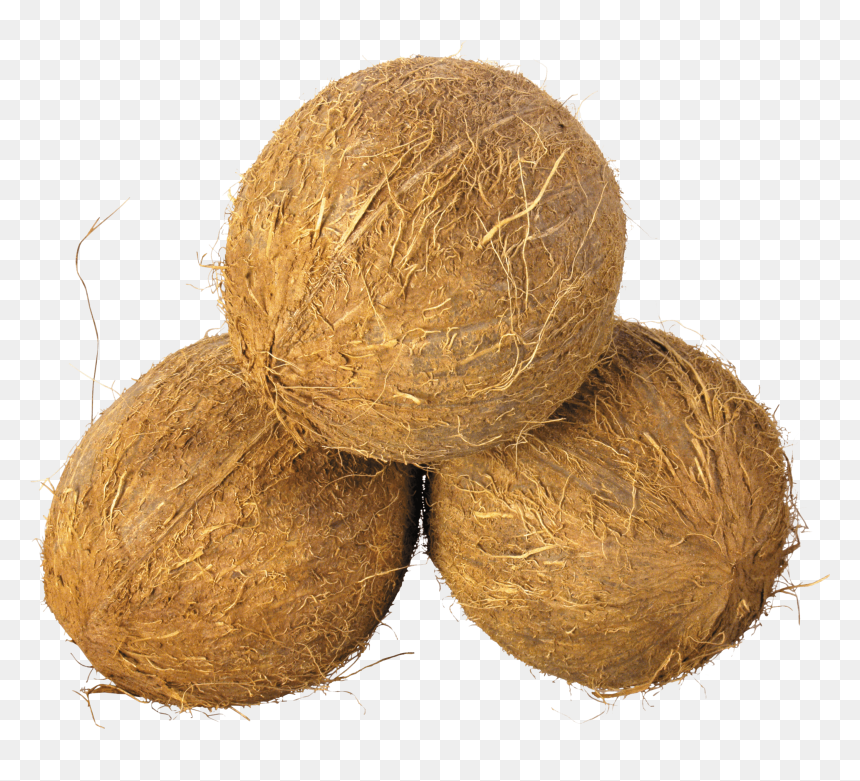 Coconut Clipart Transparent Background - Coco Nuts Png, Png Download - hay png