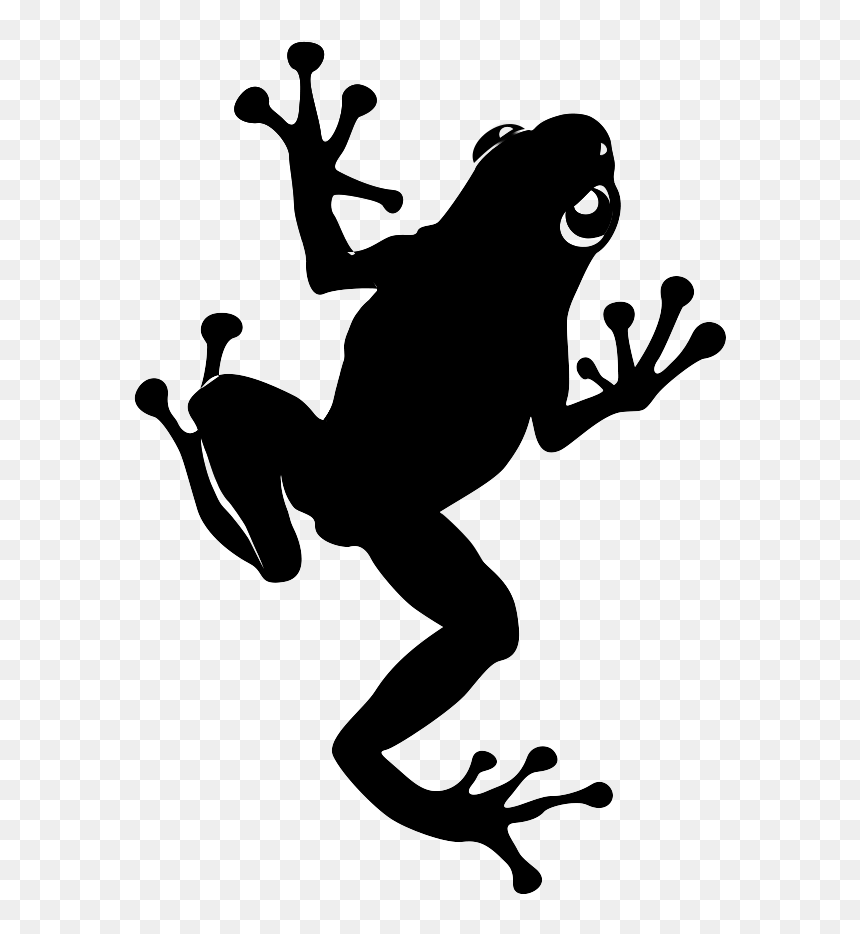 Transparent Camera Silhouette Png - True Frog, Png Download - camera silhouette png
