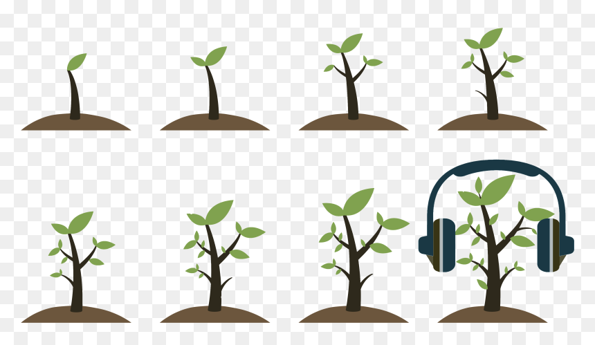 7, 2018, Noon - Growing Tree Icon Png, Transparent Png - tree icon png