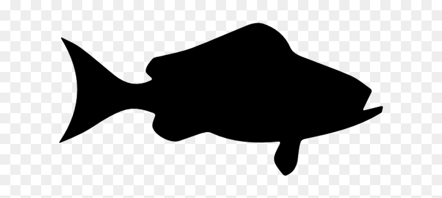 Silhouette Fly Fishing Clip Art - Portable Network Graphics, HD Png Download - fish silhouette png