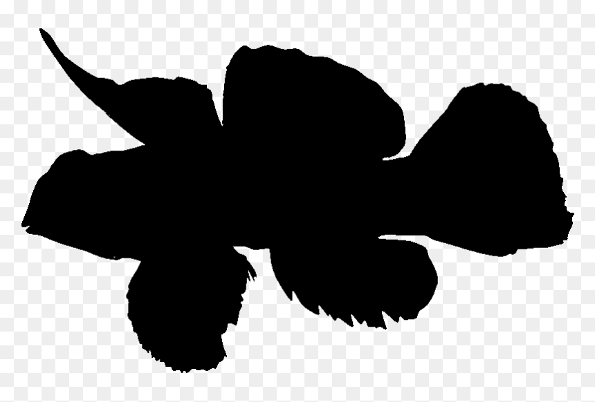 Make A Silhouette - Mandarin Fish Silhouette, HD Png Download - fish silhouette png