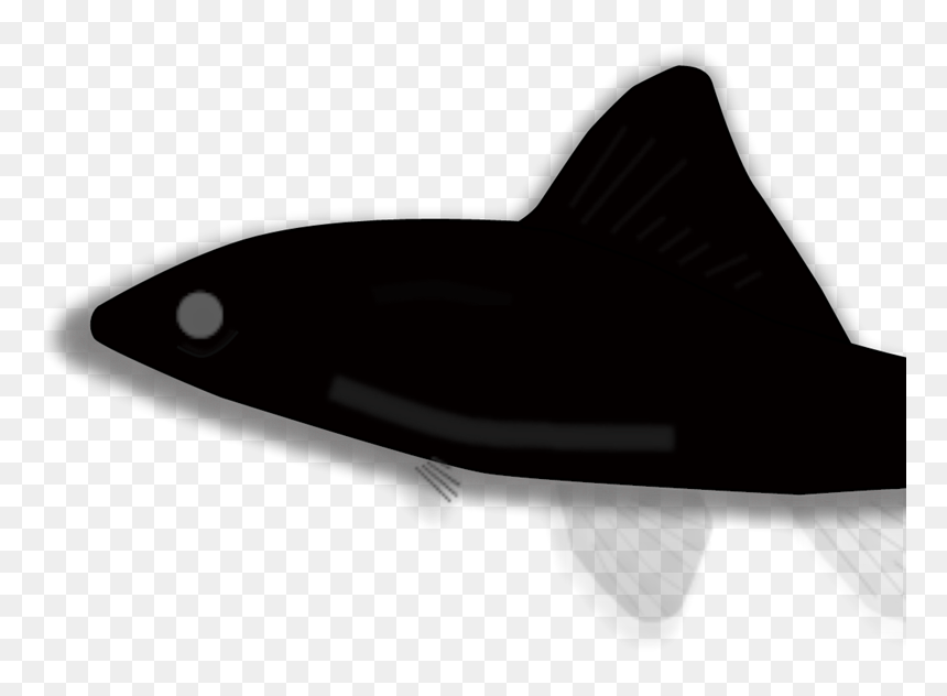 Surfing, HD Png Download - fish silhouette png