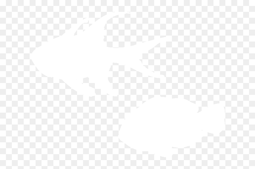 Illustration, HD Png Download - fish silhouette png