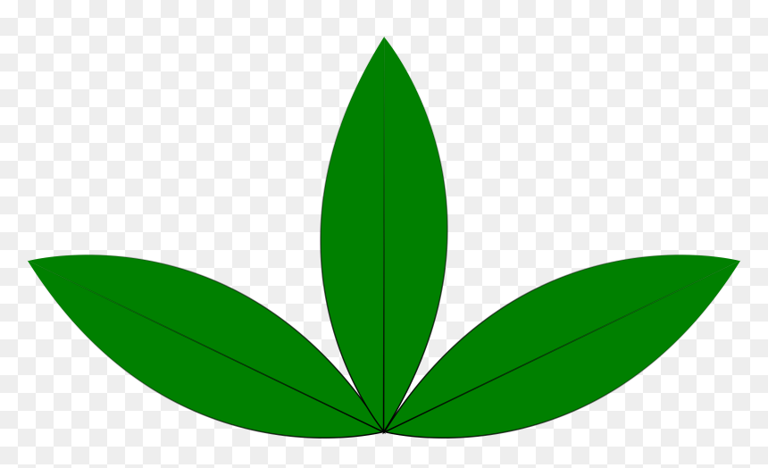 A Green Sprout Clip Arts, HD Png Download - sprout png