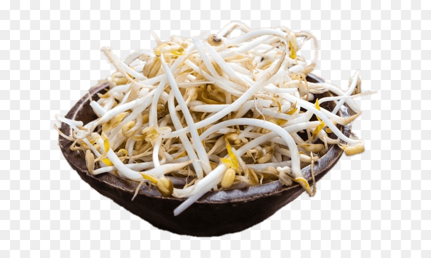 Beansprout Transparent Background, HD Png Download - sprout png