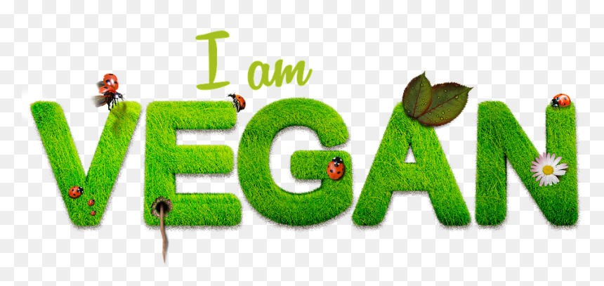 Art, HD Png Download - vegan png