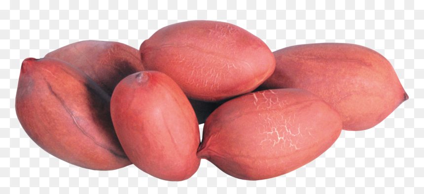 Peanut Png - Peanut Images Hd, Transparent Png - groundnut png