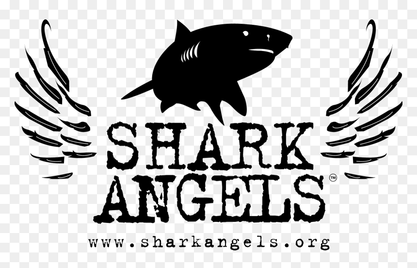 Shark Angels Logo “ - Shark Angels, HD Png Download - angels logo png