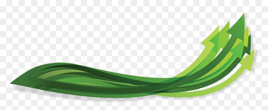 Artificial Turf, HD Png Download - organic png