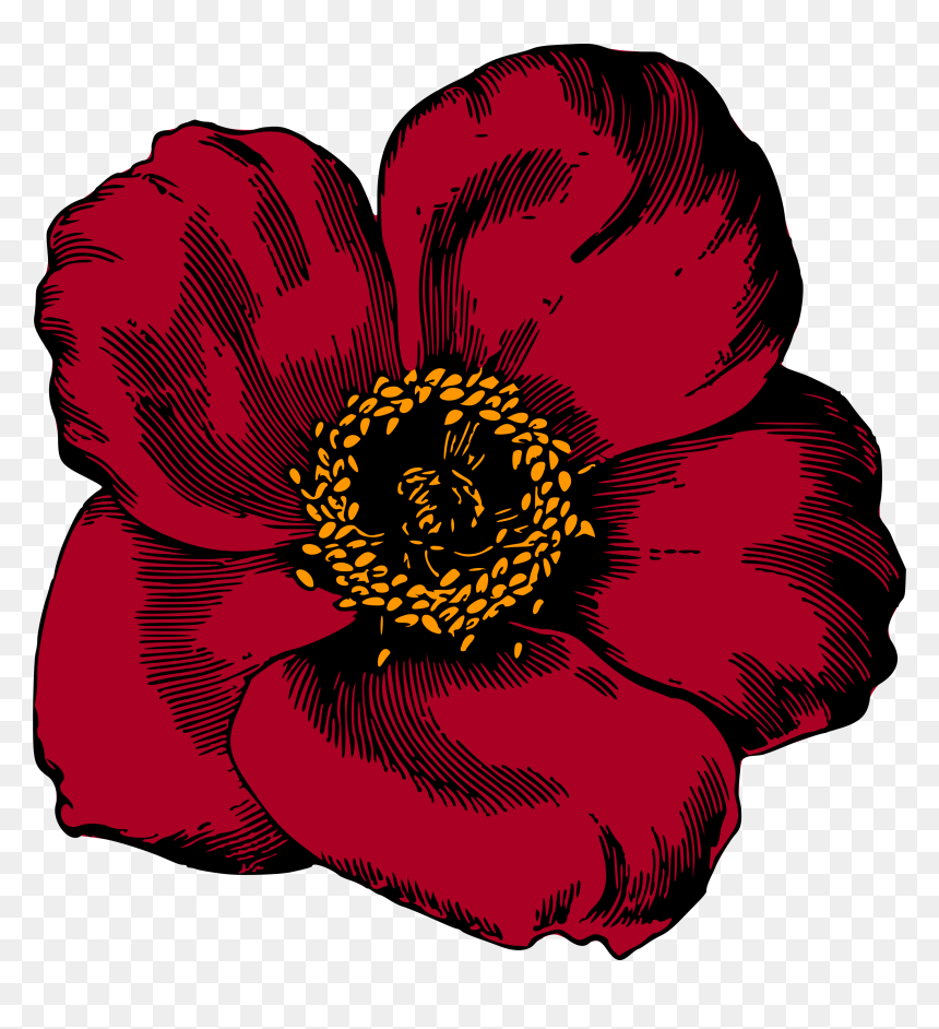 Flower 96 Clip Arts - El Petalo De Una Planta, HD Png Download - colourful floral design png