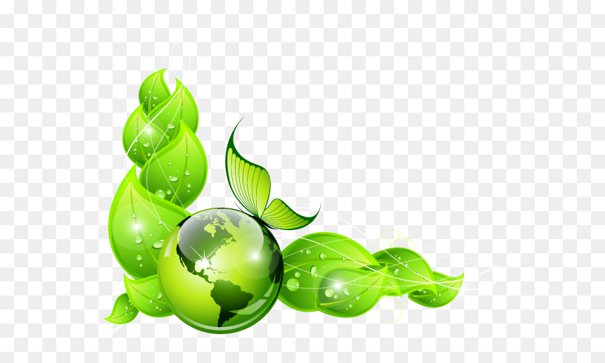 Organic Fruits Background Png, Transparent Png - organic png