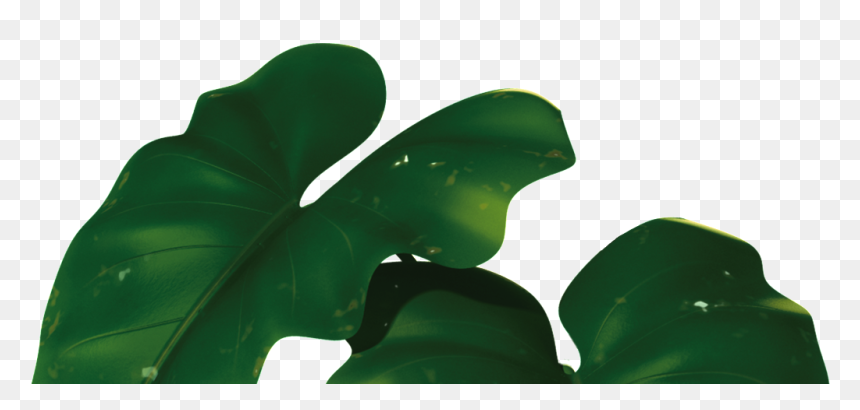 Transparent For Banana Leaves - Banana Leaves Png, Png Download - full banana leaf png