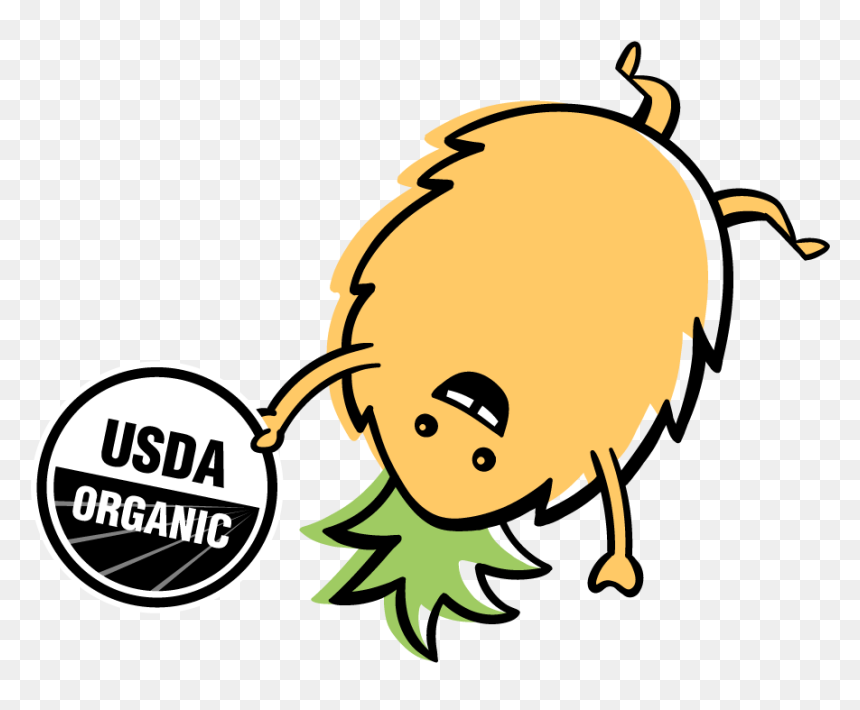 Organic - Usda Organic, HD Png Download - organic png