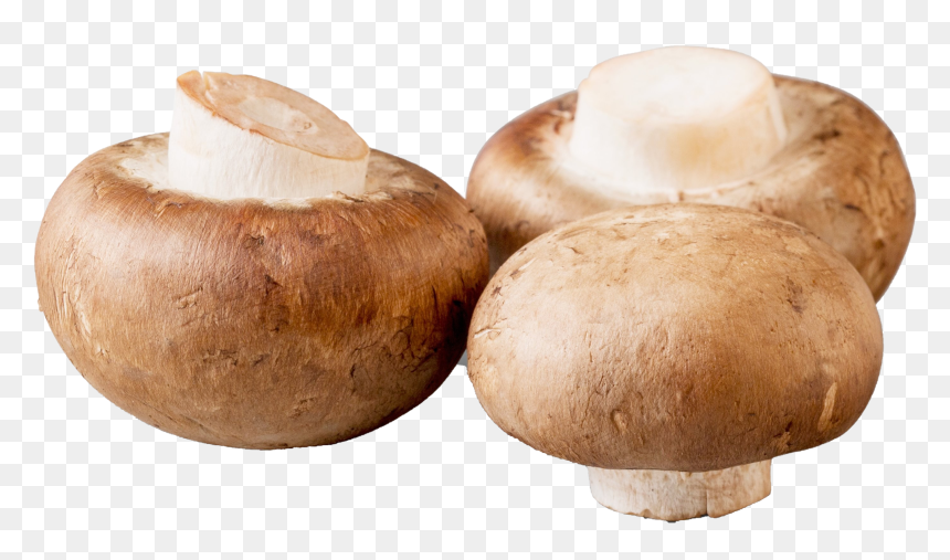 Organic Mushroom Png Image Download - Baby Bella Mushrooms, Transparent Png - organic png