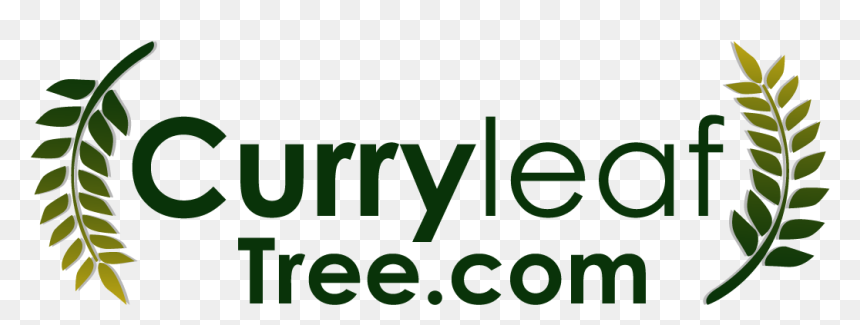 Nager En Eau Libre, HD Png Download - curry leaves png
