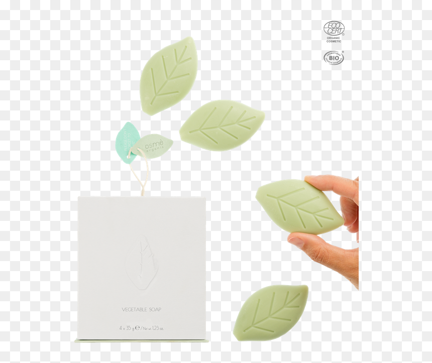 Paper, HD Png Download - organic png
