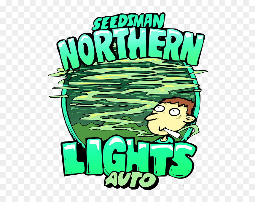 Northern Lights Auto Feminised Cannabis Seeds By Seedsman - Northern Lights Auto Seedsman, HD Png Download - northern lights png