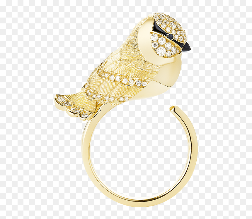 Screech Owl, HD Png Download - indian gold jewellery necklace sets png