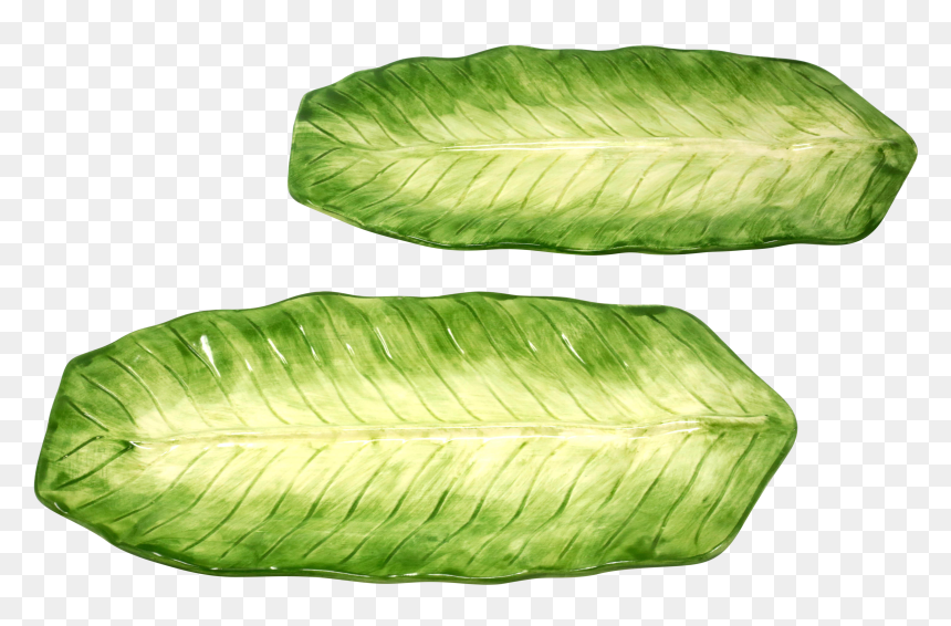 Vintage Banana Leaf Platters By Jay Willfred, HD Png Download - full banana leaf png