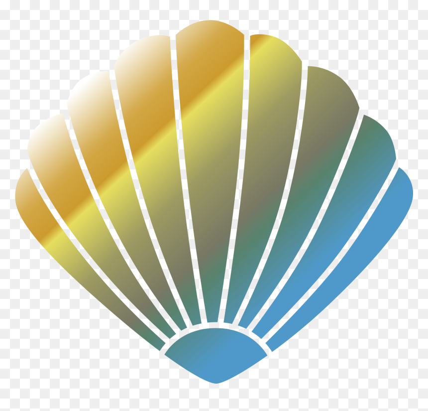 Transparent Background Seashell Clipart, HD Png Download - clam png