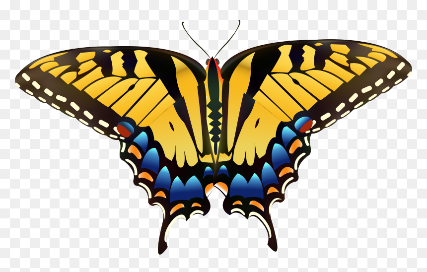 Yellow Butterfly Png Clip Art - Drawing Eastern Tiger Swallowtail Butterfly, Transparent Png - butter fly png