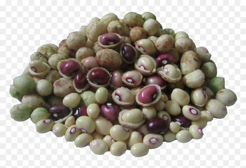 Vigna Subterranea, HD Png Download - groundnut png