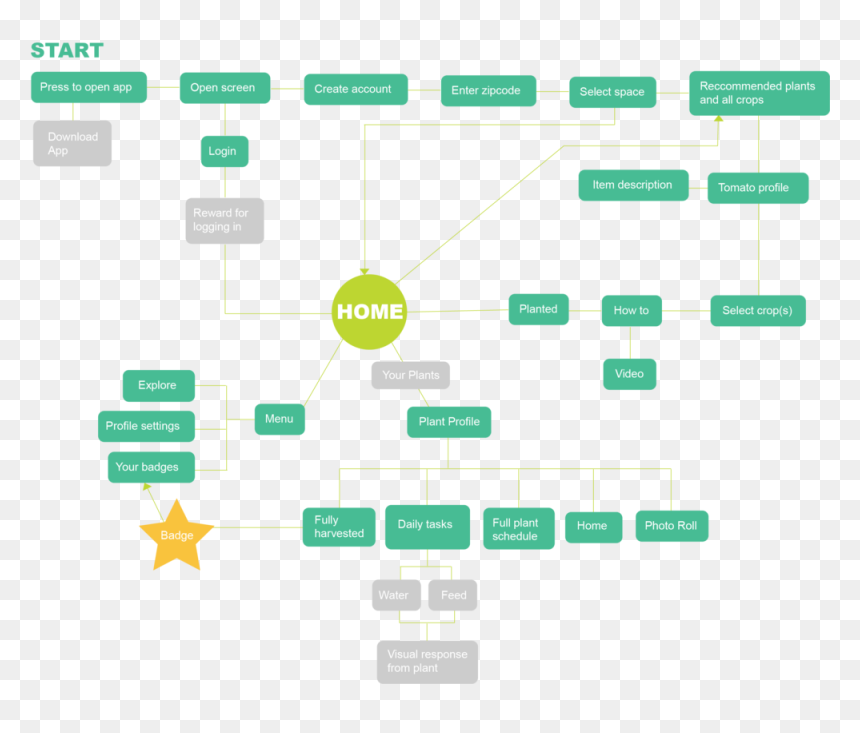 We Completed Background Research By First Listing Out, HD Png Download - sprout png