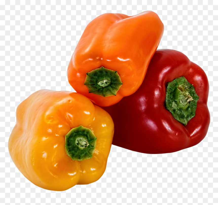 Bell Pepper Png Image - Bell Pepper Transparent Background, Png Download - capsicum png