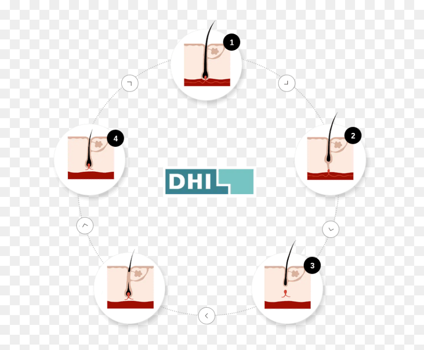 Circle, HD Png Download - hairs png