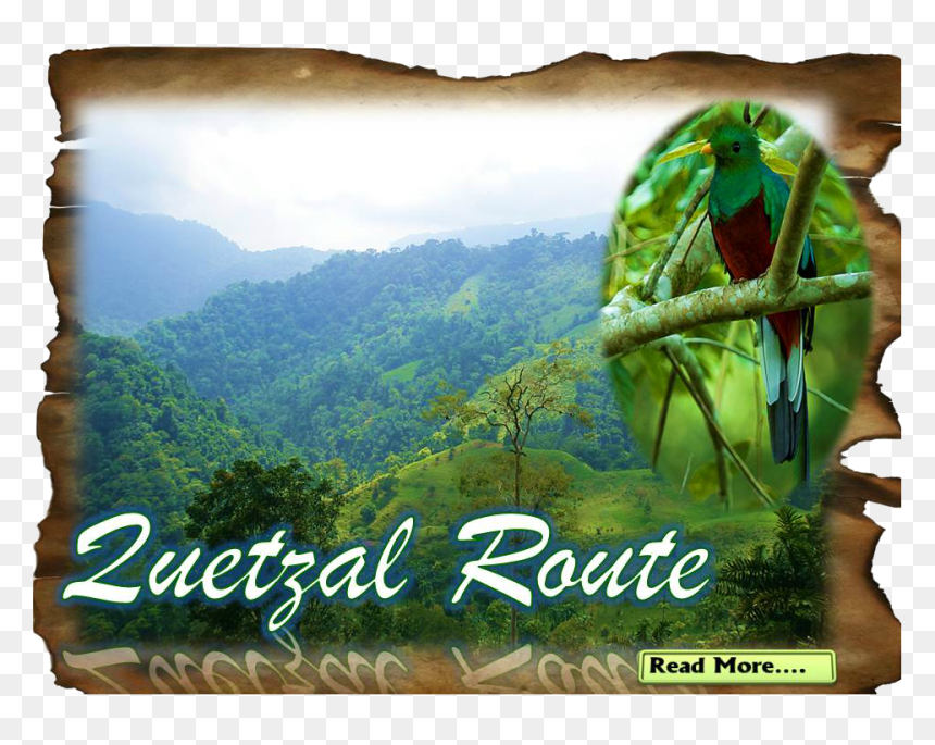 Cooprena Simbiosis Tours - Mount Scenery, HD Png Download - scenery png