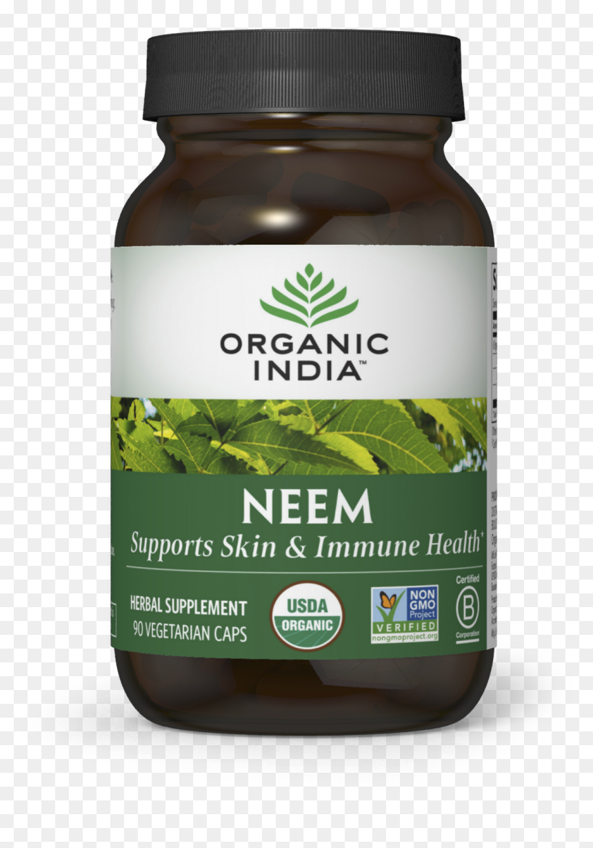Organic India Moringa, HD Png Download - neem tree png