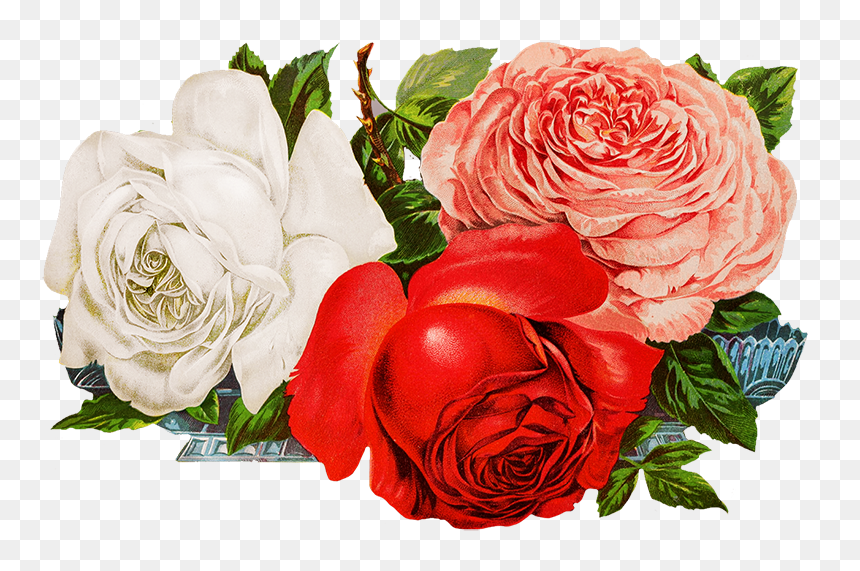 Roses For Scrapbooking Png - Digital Flower Design New, Transparent Png - png flowers download