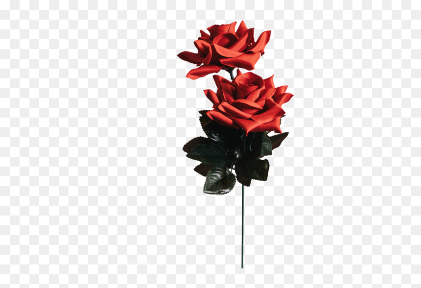 Minimalistic Flower Wall Paper, HD Png Download - rose.png