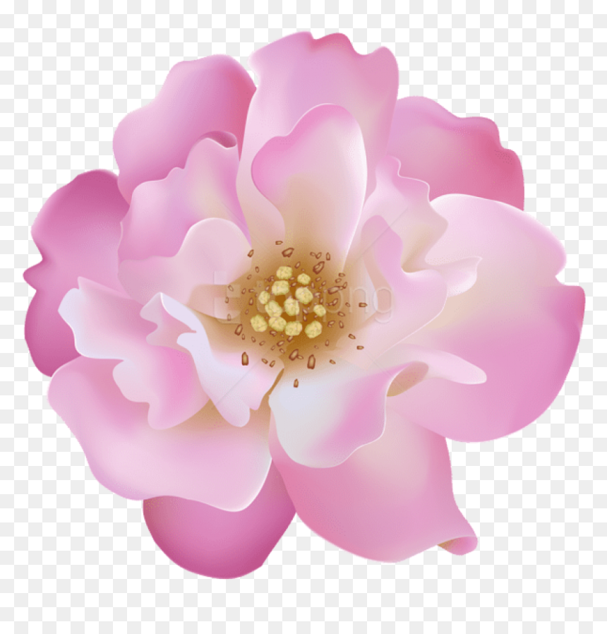Free Png Download Pink Rosebush Flower Transparent - Artificial Flower, Png Download - png flowers download