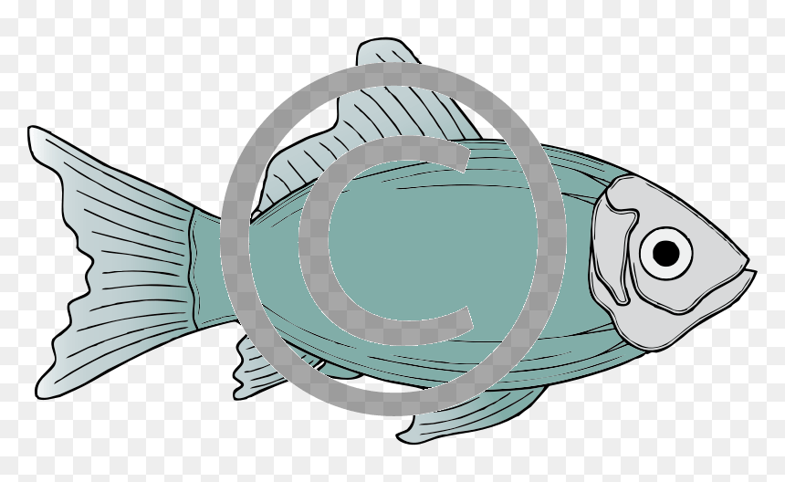 Fish Clipart, HD Png Download - fish png images