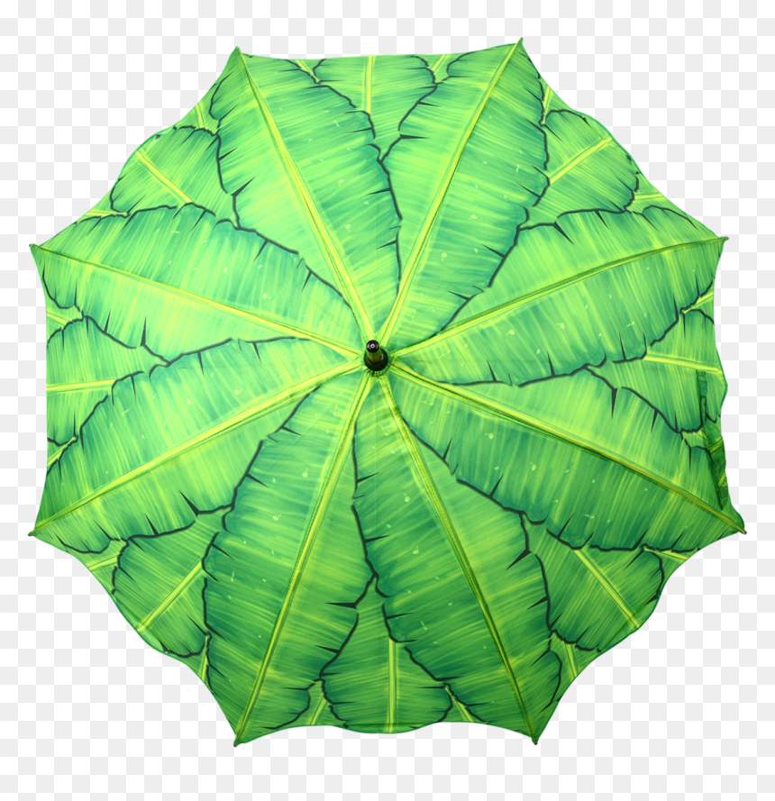 Umbrella Banana Leaves - Umbrella, HD Png Download - full banana leaf png