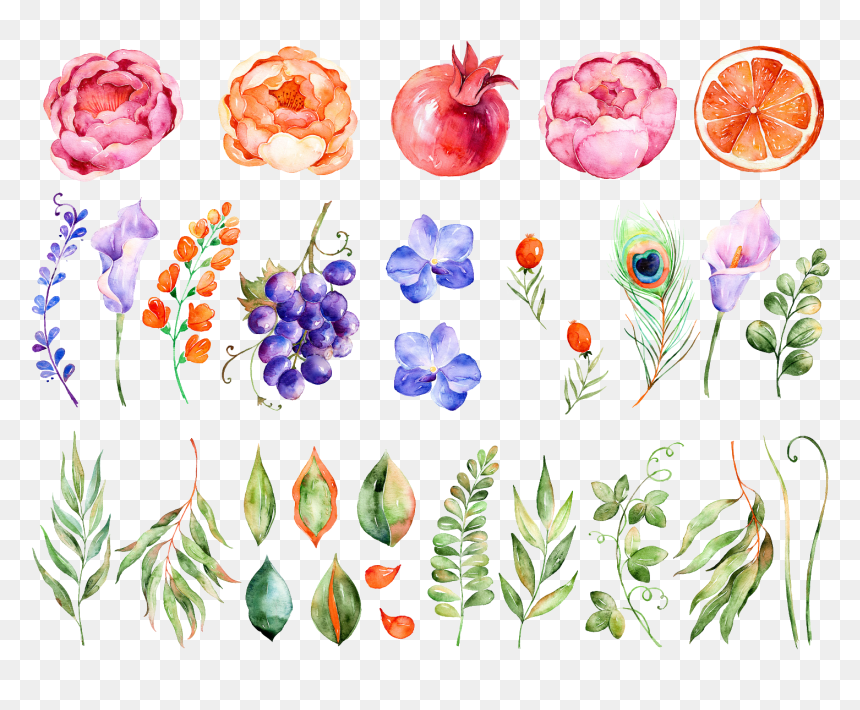 Watercolor Flowers Flower Painting Download Hq Png - Color Grapes Flowers Watercolor, Transparent Png - png flowers download