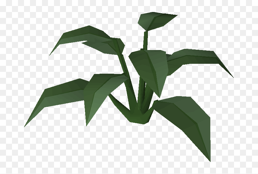 Old School Runescape Wiki, HD Png Download - full banana leaf png