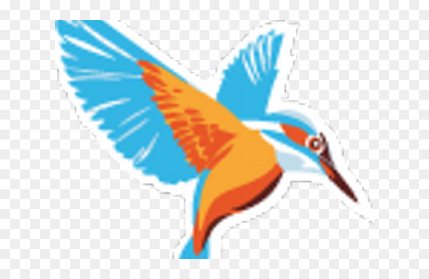 Kingfisher , Png Download, Transparent Png - kingfisher png