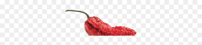 Habanero Chili, HD Png Download - capsicum png