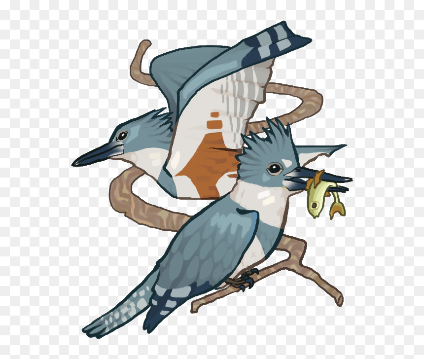 Kingfisher Pop Up Copy - Illustration, HD Png Download - kingfisher png