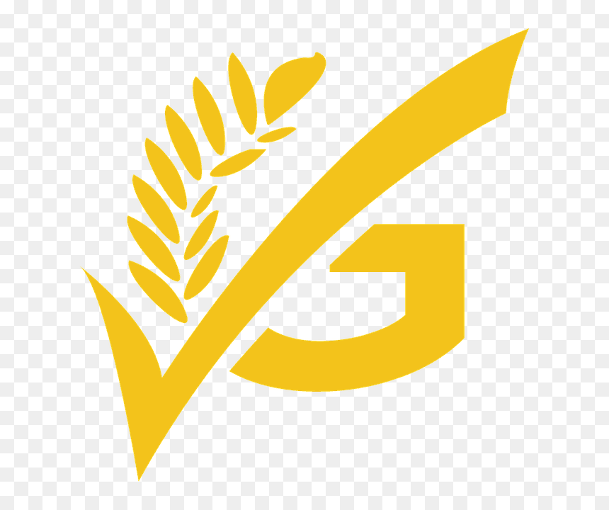 Celiac Disease Clear Background, HD Png Download - usa today logo png