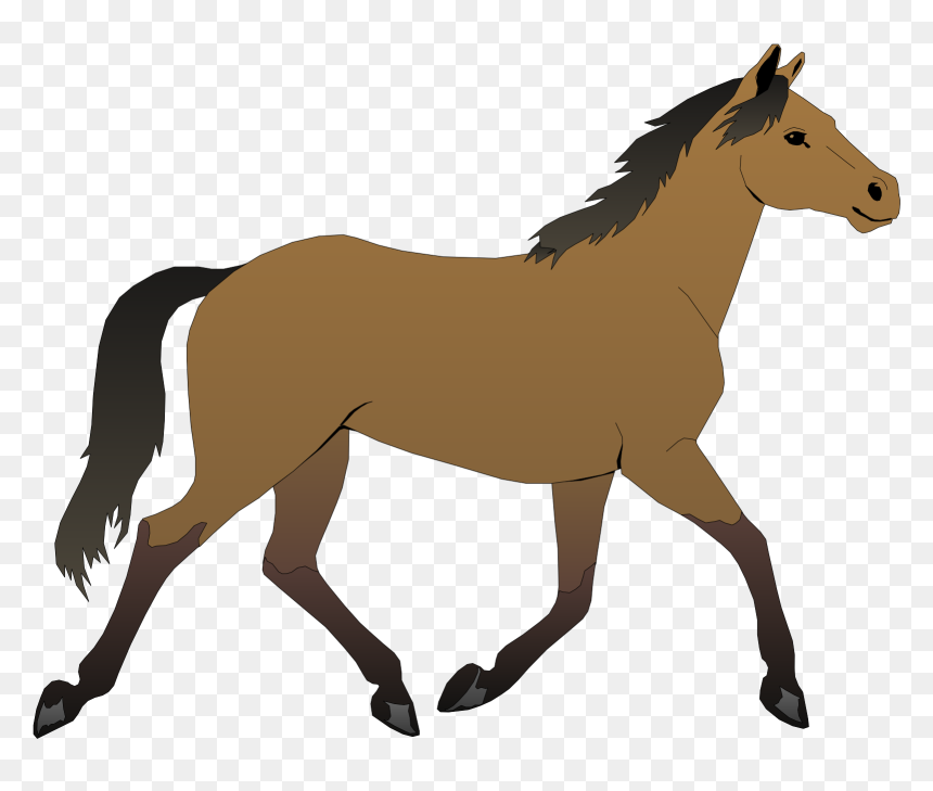 Horse Free Clipart, HD Png Download - kuda png