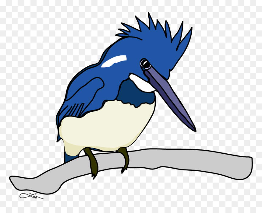 The Belted Kingfisher Keeps Me Company All The While - Fly Fishing, HD Png Download - kingfisher png