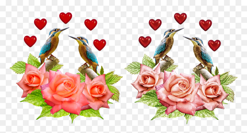 Kingfisher Png, Transparent Png - kingfisher png