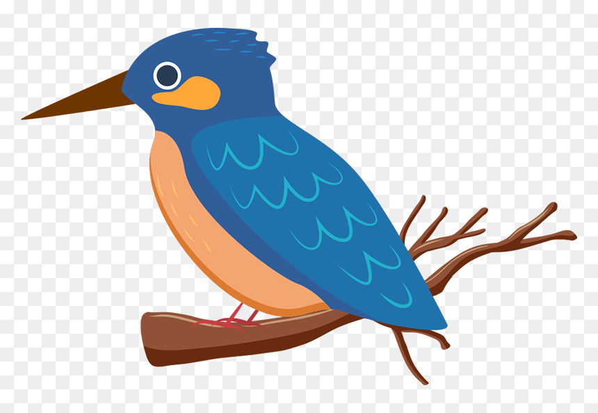 Coraciiformes, HD Png Download - kingfisher png