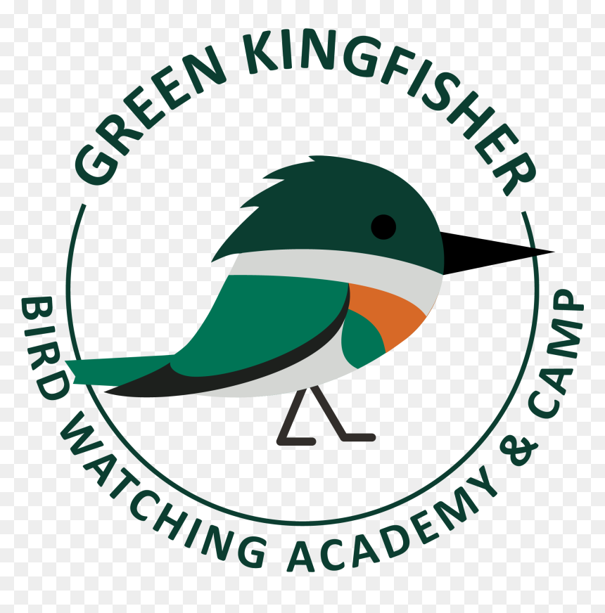 Kingfisher Png, Transparent Png - kingfisher png