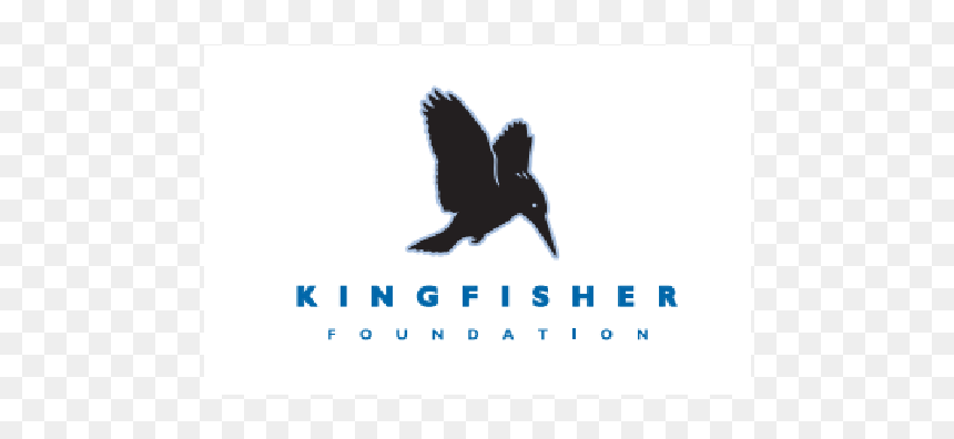 Kingfisher - Accipitridae, HD Png Download - kingfisher png